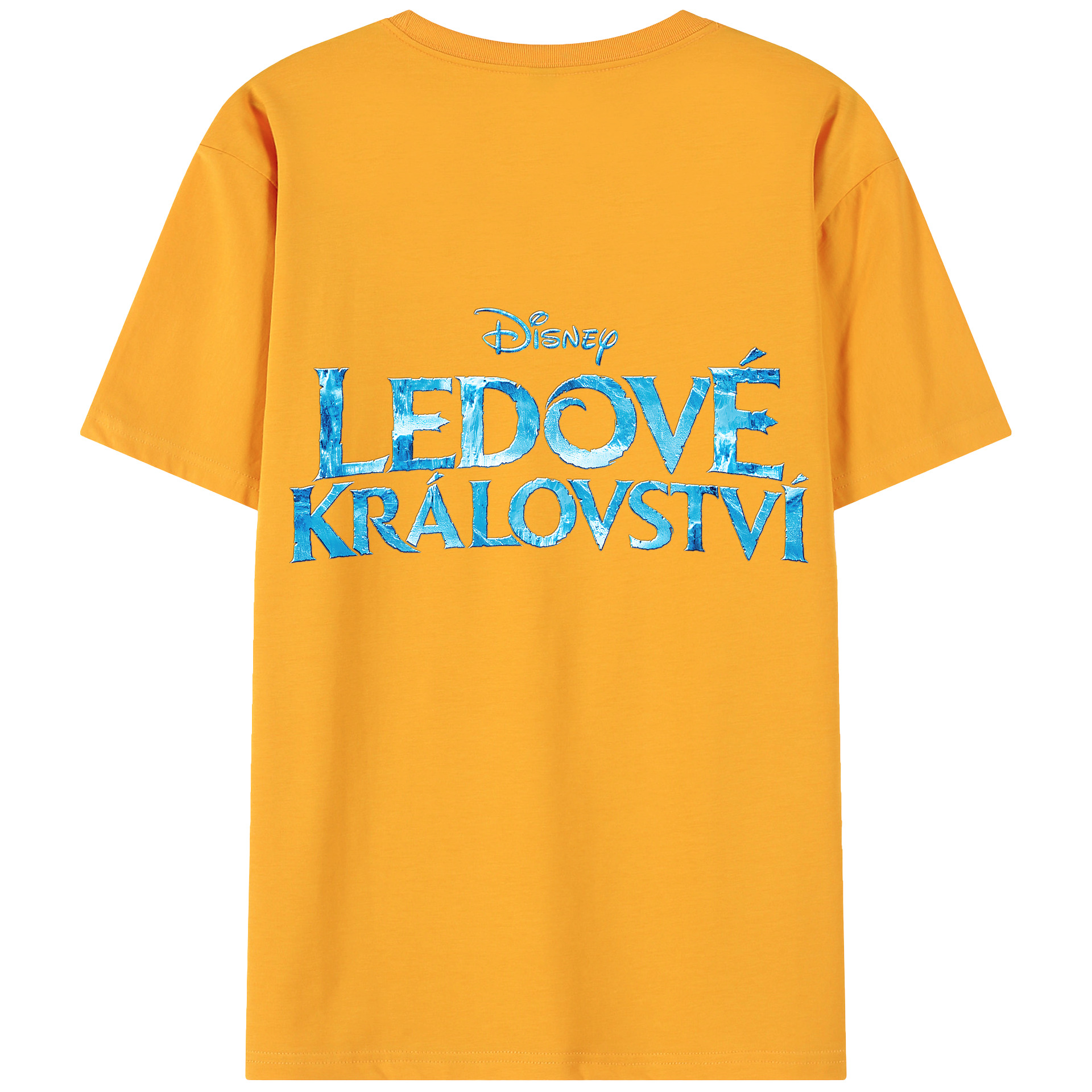（画像用） アナと雪の女王 アンナ エルサ Frozen Anna Elsa 綿100％ メンズ半袖Tシャツ（バックプリント） 通気性