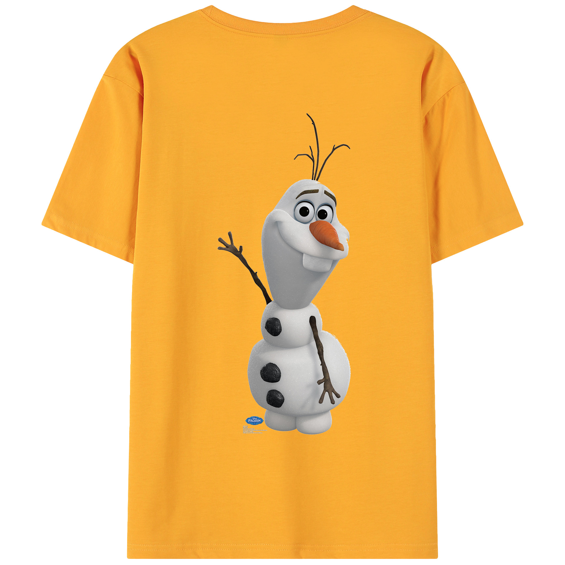 （画像用） アナと雪の女王 アンナ エルサ Frozen Anna Elsa 綿100％ メンズ半袖Tシャツ（バックプリント） 通気性