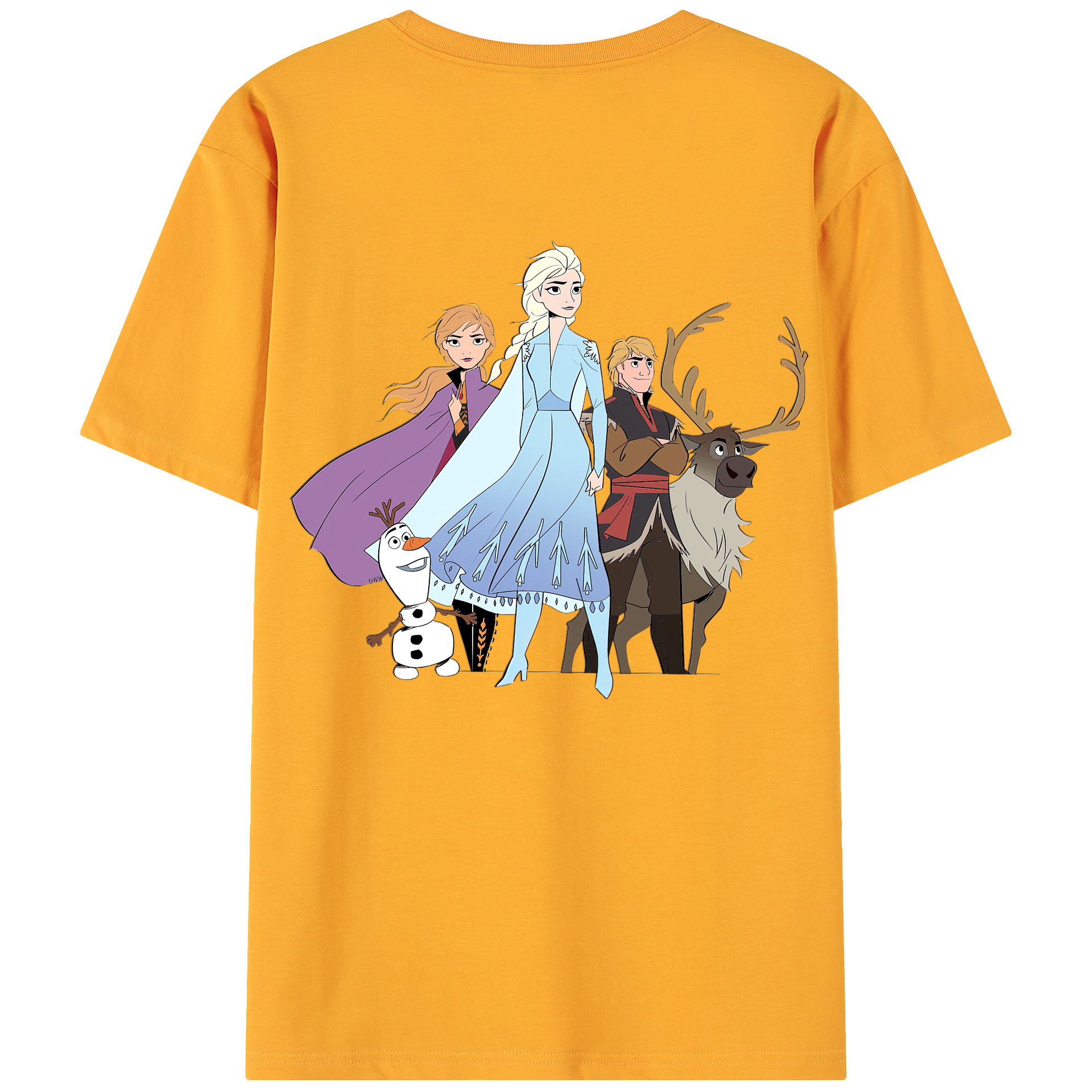 （画像用） アナと雪の女王 アンナ エルサ Frozen Anna Elsa 綿100％ メンズ半袖Tシャツ（バックプリント） 通気性