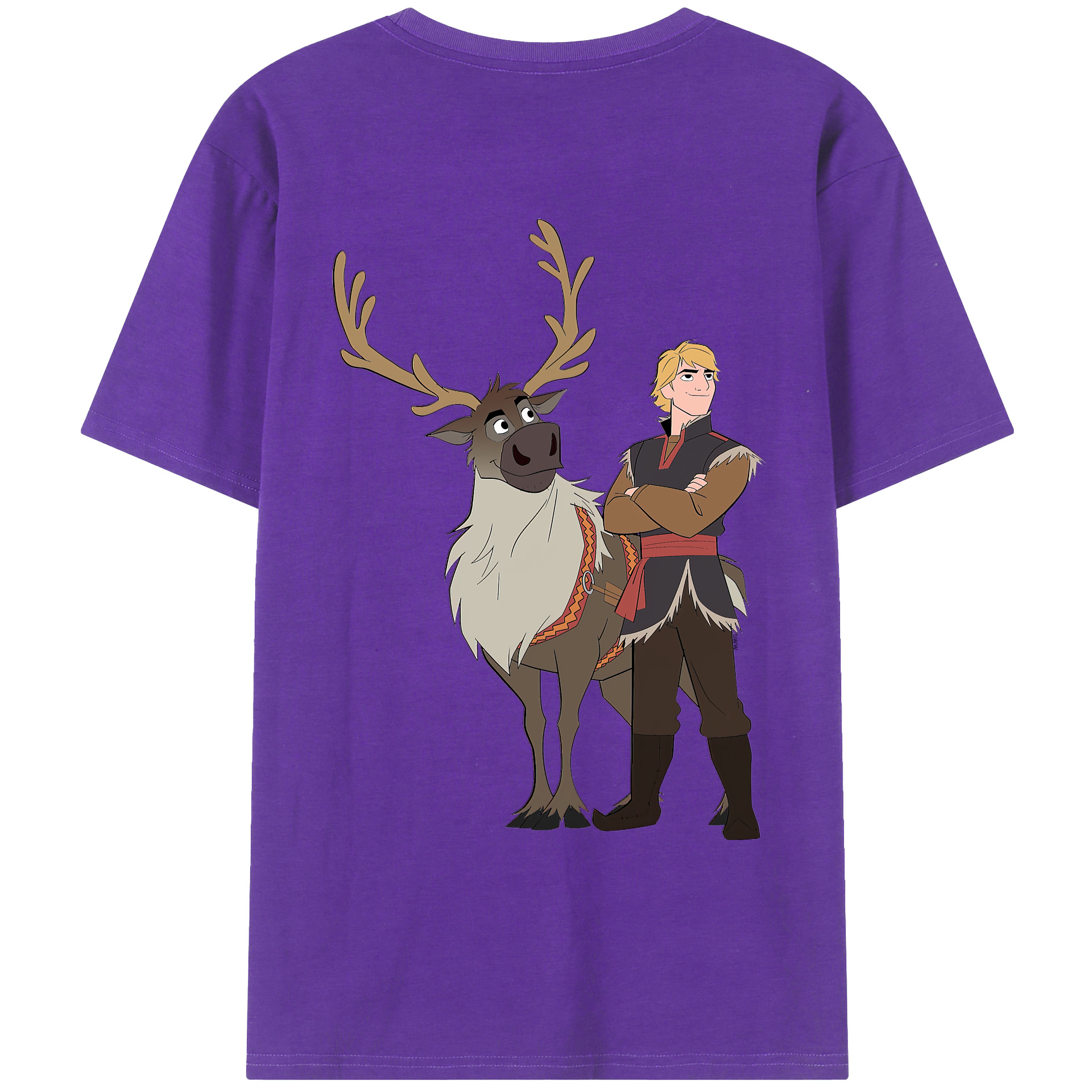 （画像用） アナと雪の女王 アンナ エルサ Frozen Anna Elsa 綿100％ メンズ半袖Tシャツ（バックプリント） 通気性