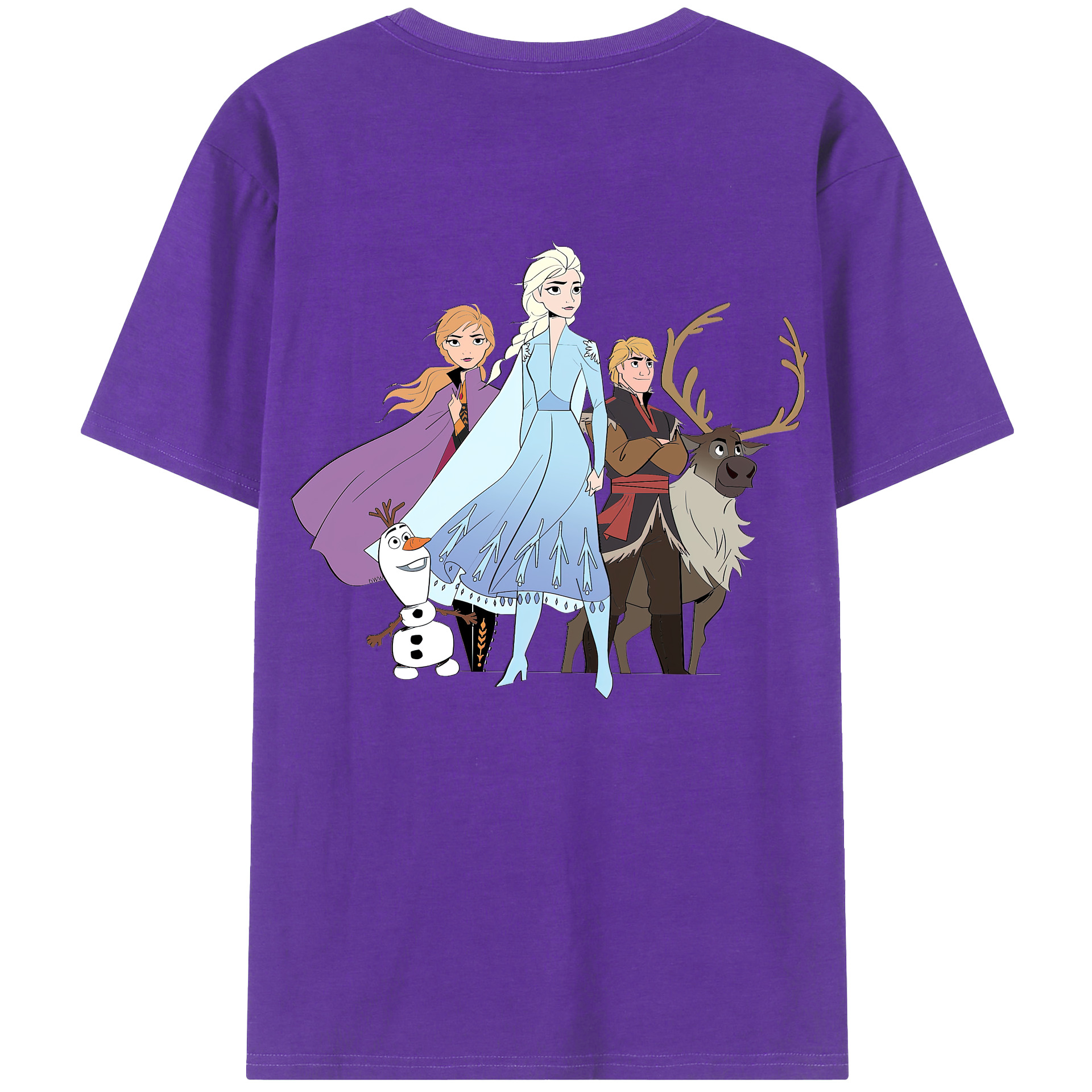 （画像用） アナと雪の女王 アンナ エルサ Frozen Anna Elsa 綿100％ メンズ半袖Tシャツ（バックプリント） 通気性