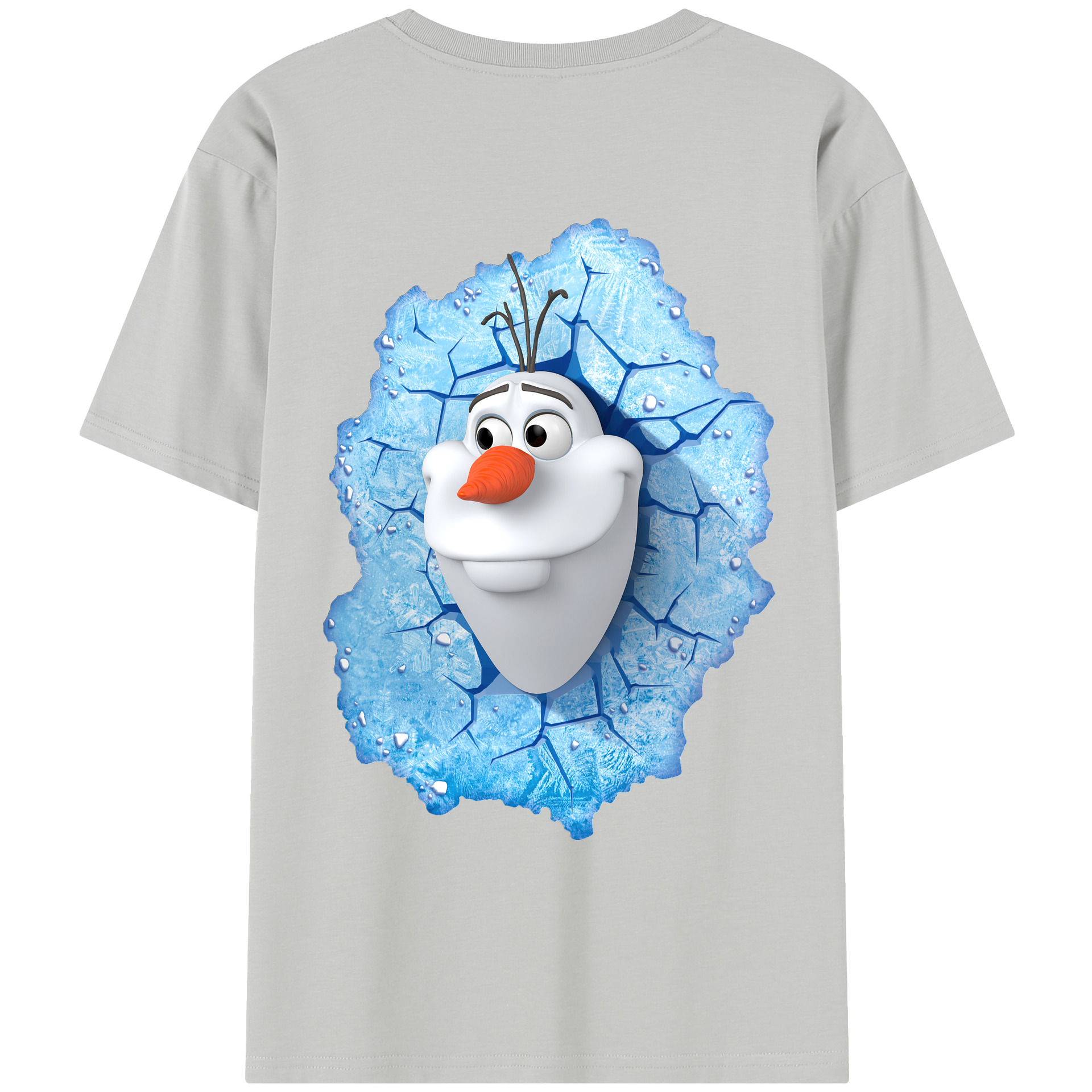 （画像用） アナと雪の女王 アンナ エルサ Frozen Anna Elsa レディース半袖Tシャツ(バックプリント)