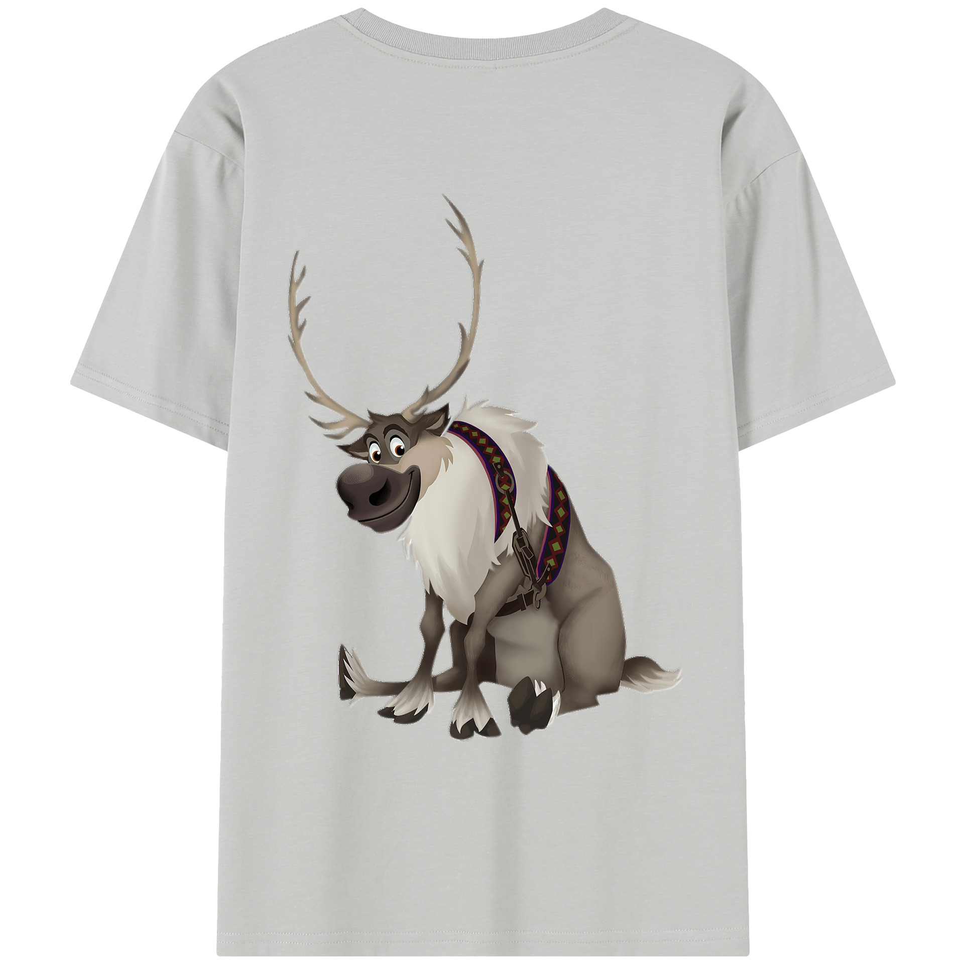 （画像用） アナと雪の女王 アンナ エルサ Frozen Anna Elsa レディース半袖Tシャツ(バックプリント)