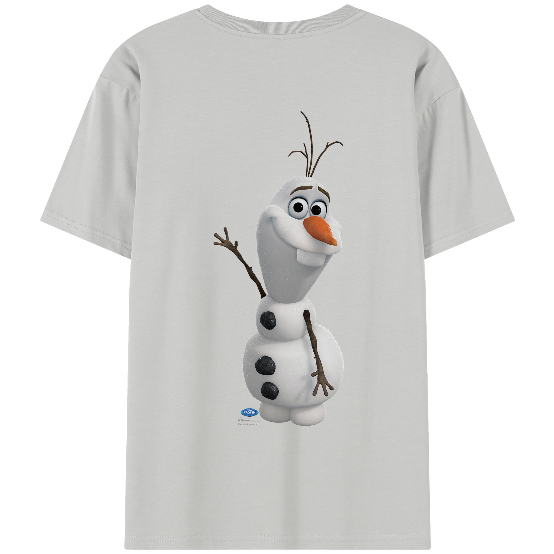 （画像用） アナと雪の女王 アンナ エルサ Frozen Anna Elsa レディース半袖Tシャツ(バックプリント)
