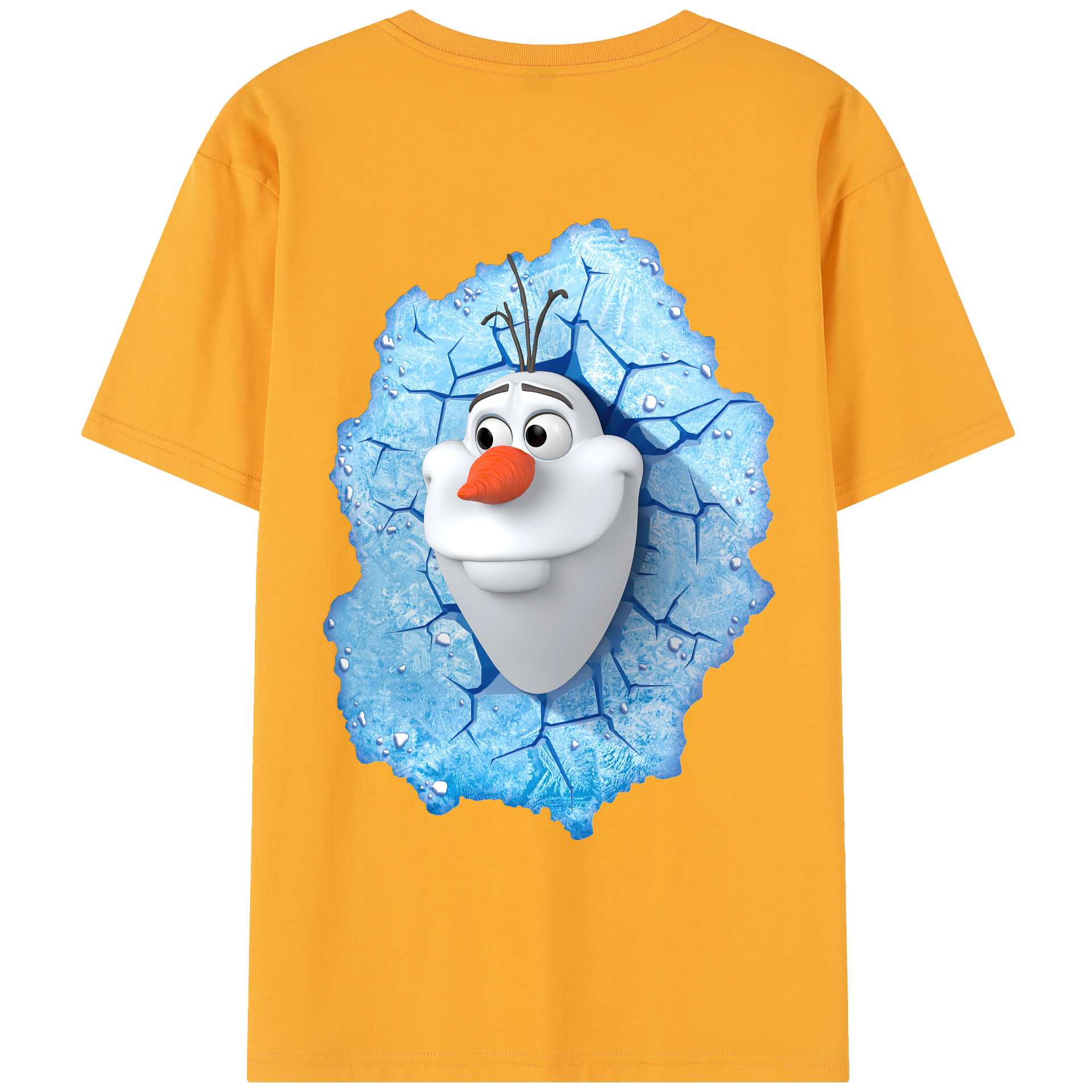 （画像用） アナと雪の女王 アンナ エルサ Frozen Anna Elsa レディース半袖Tシャツ(バックプリント)