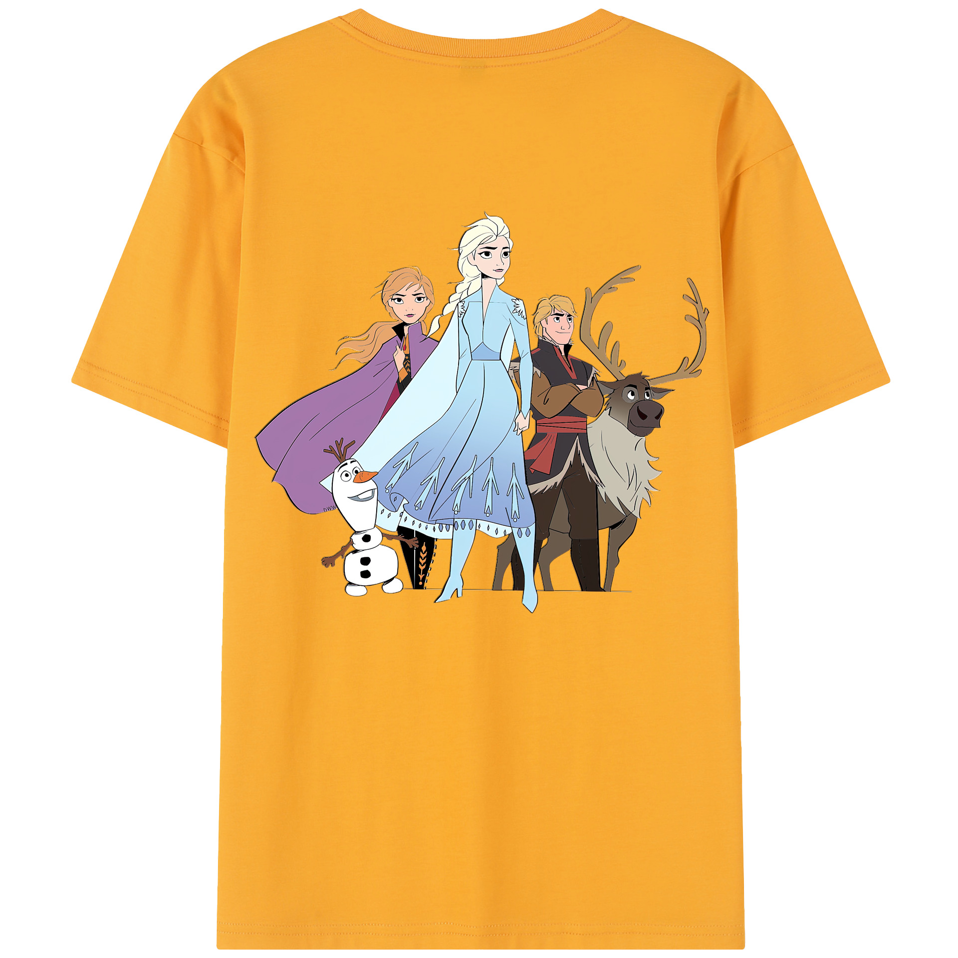 （画像用） アナと雪の女王 アンナ エルサ Frozen Anna Elsa レディース半袖Tシャツ(バックプリント)