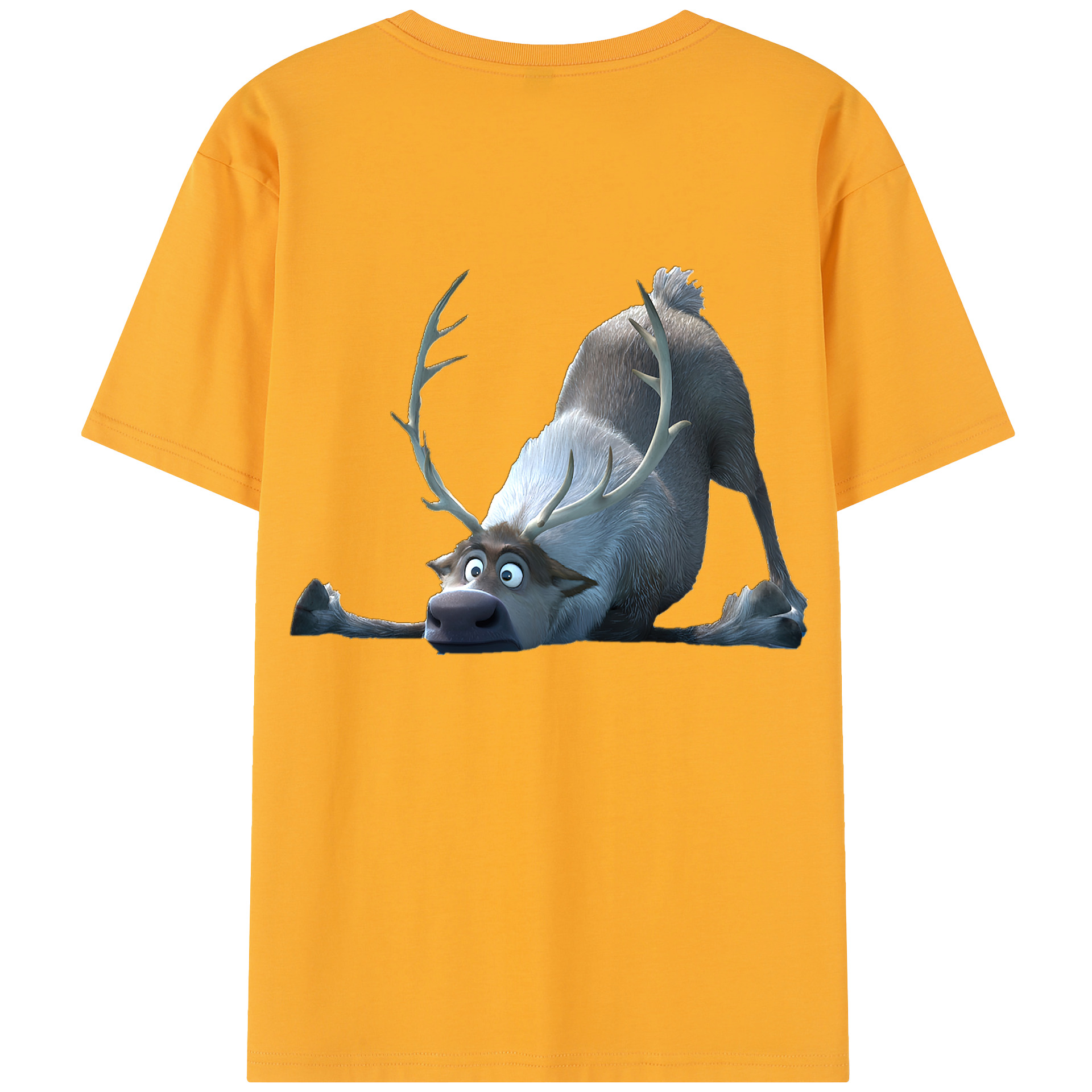 （画像用） アナと雪の女王 アンナ エルサ Frozen Anna Elsa レディース半袖Tシャツ(バックプリント)