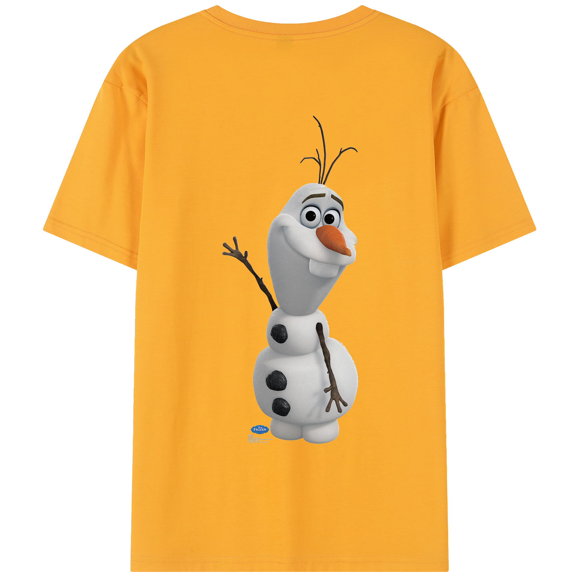 （画像用） アナと雪の女王 アンナ エルサ Frozen Anna Elsa レディース半袖Tシャツ(バックプリント)