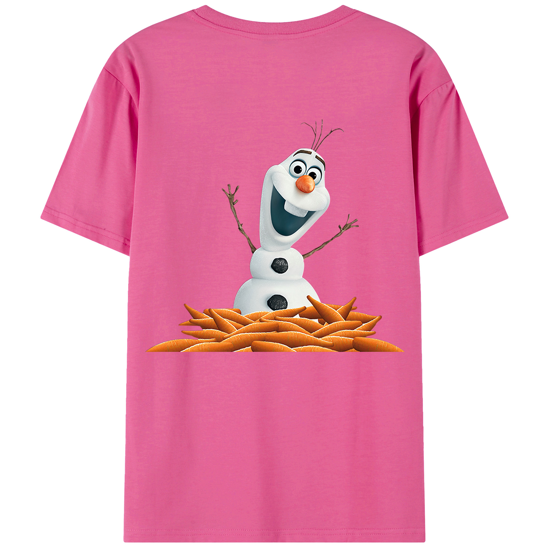 （画像用） アナと雪の女王 アンナ エルサ Frozen Anna Elsa レディース半袖Tシャツ(バックプリント)
