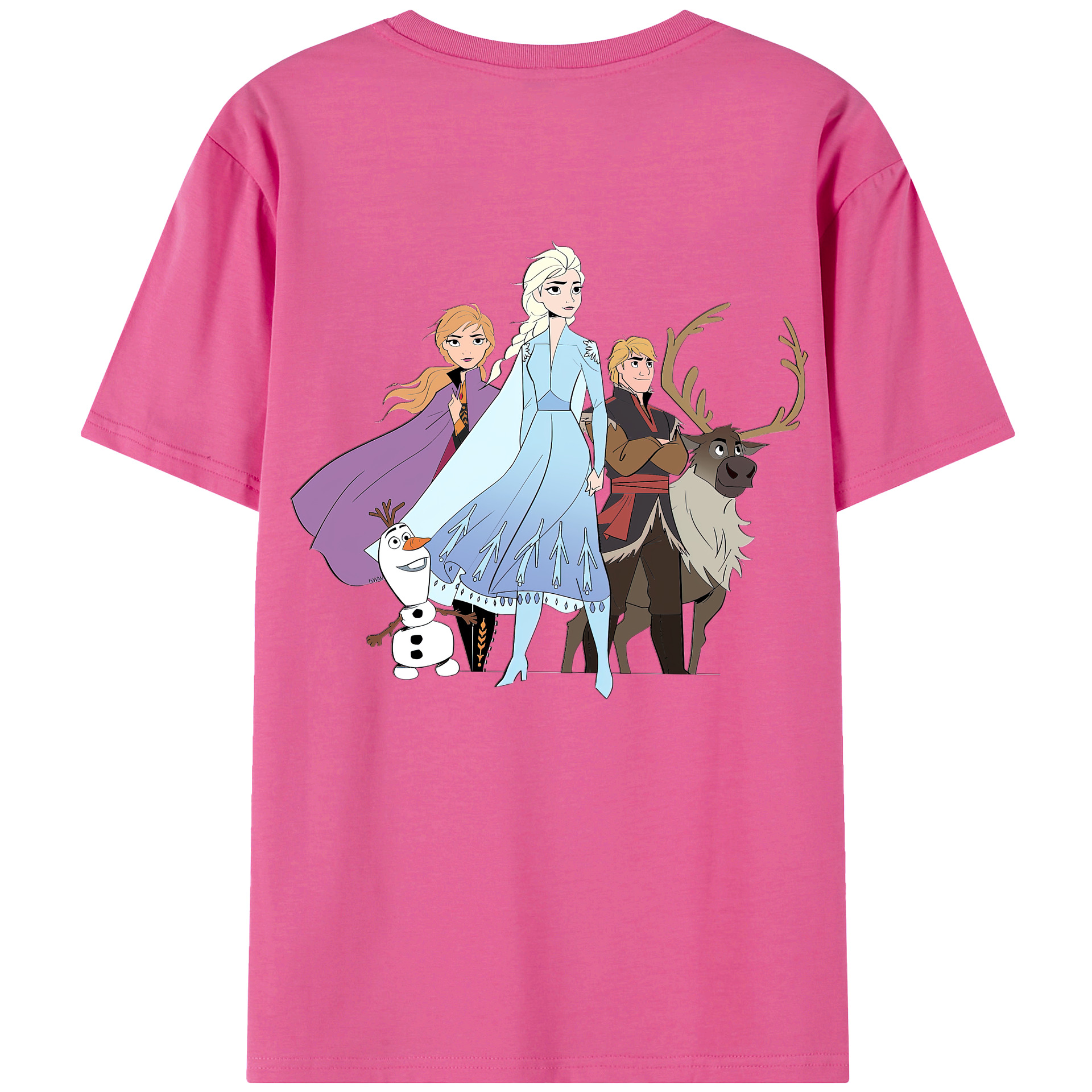 （画像用） アナと雪の女王 アンナ エルサ Frozen Anna Elsa レディース半袖Tシャツ(バックプリント)