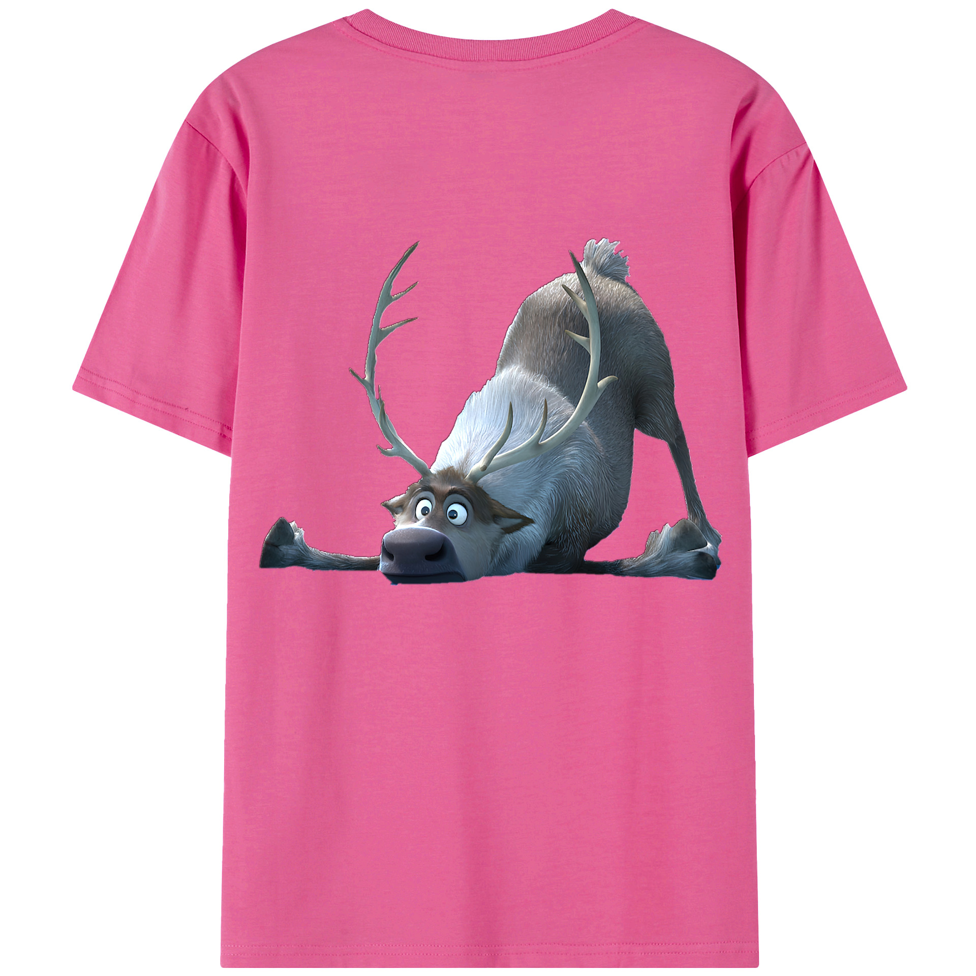 （画像用） アナと雪の女王 アンナ エルサ Frozen Anna Elsa レディース半袖Tシャツ(バックプリント)