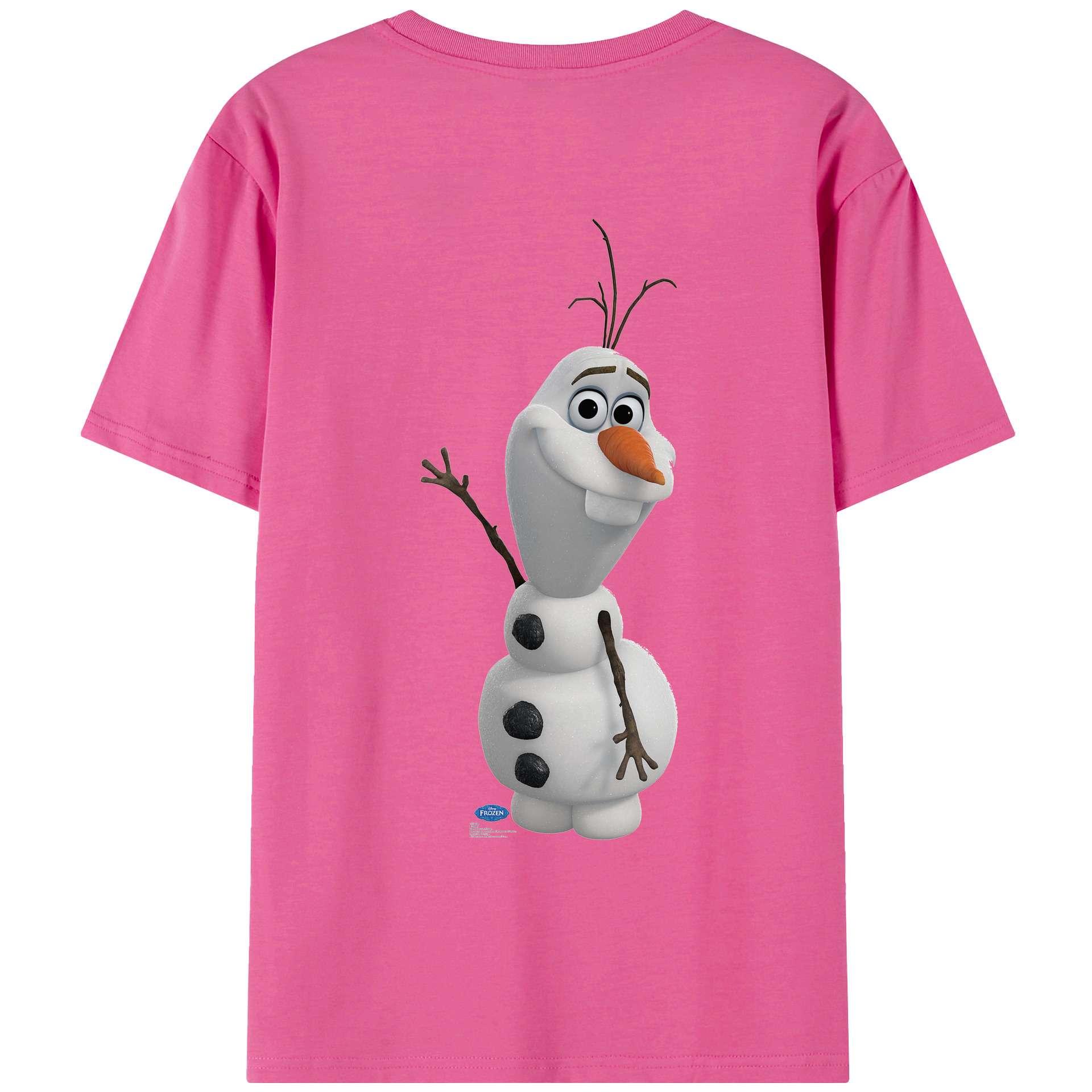 （画像用） アナと雪の女王 アンナ エルサ Frozen Anna Elsa レディース半袖Tシャツ(バックプリント)
