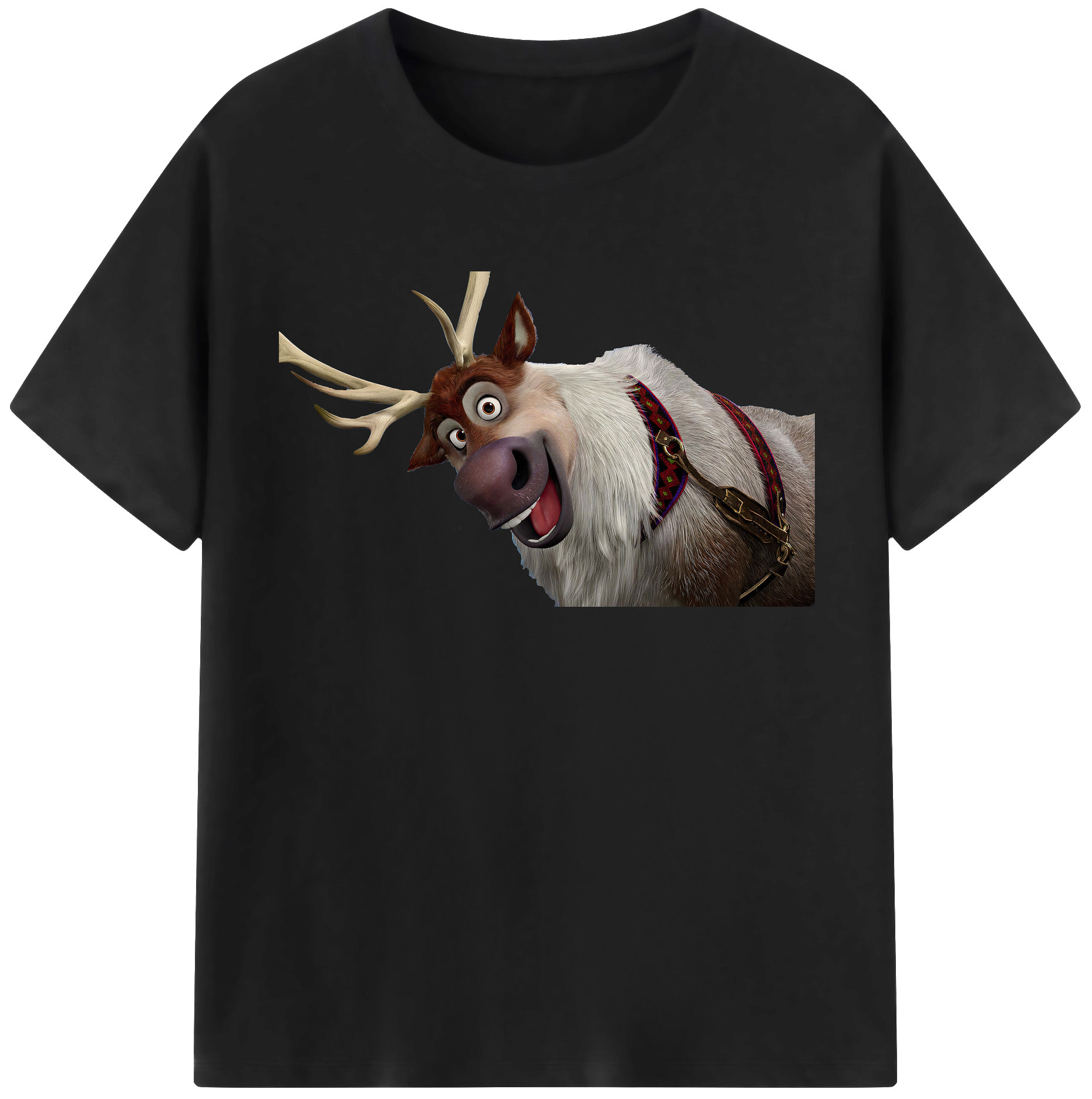 （画像用） アナと雪の女王 アンナ エルサ Frozen Anna Elsa レディースカジュアルプリントTシャツ（綿100％）