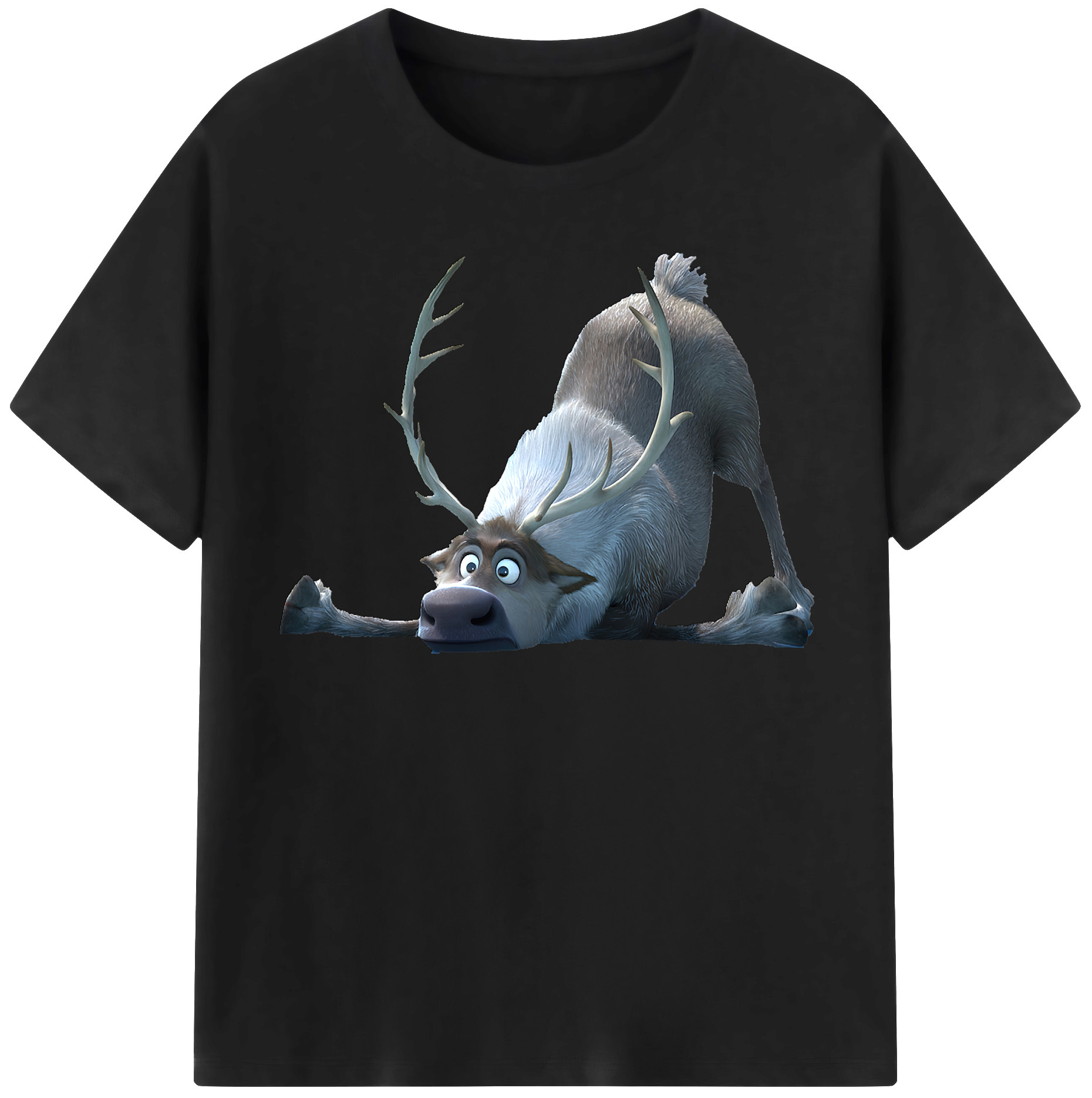 （画像用） アナと雪の女王 アンナ エルサ Frozen Anna Elsa レディースカジュアルプリントTシャツ（綿100％）