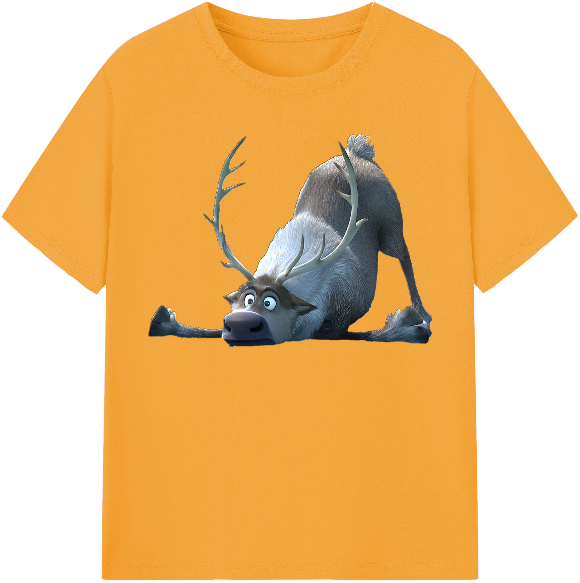（画像用） アナと雪の女王 アンナ エルサ Frozen Anna Elsa レディースカジュアルプリントTシャツ（綿100％）