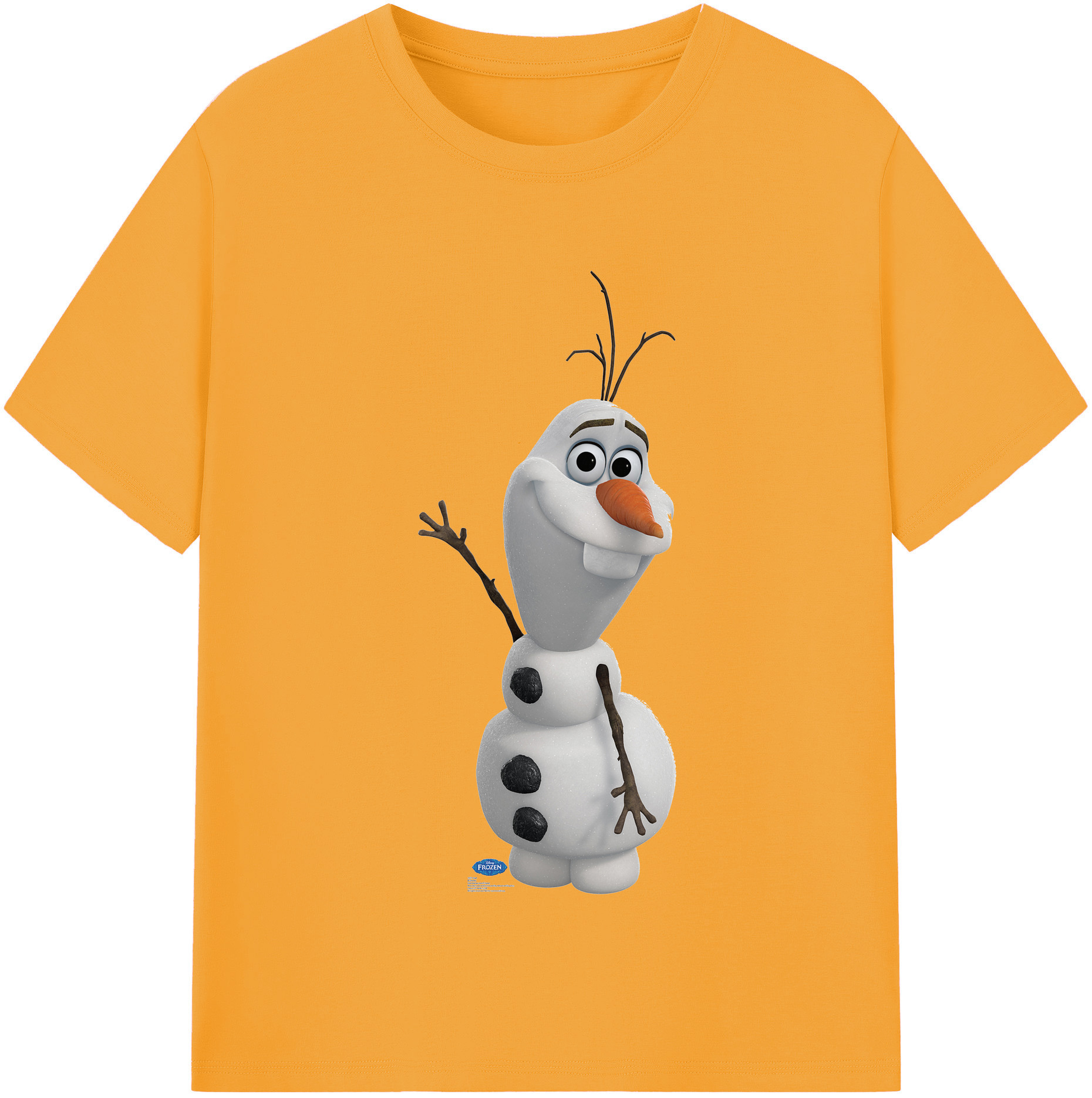 （画像用） アナと雪の女王 アンナ エルサ Frozen Anna Elsa レディースカジュアルプリントTシャツ（綿100％）