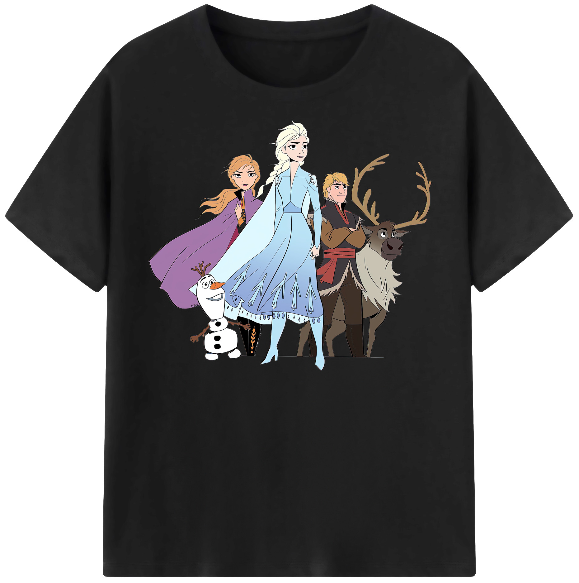 （画像用） アナと雪の女王 アンナ エルサ Frozen Anna Elsa 綿100％半袖Tシャツ（フロントプリント）