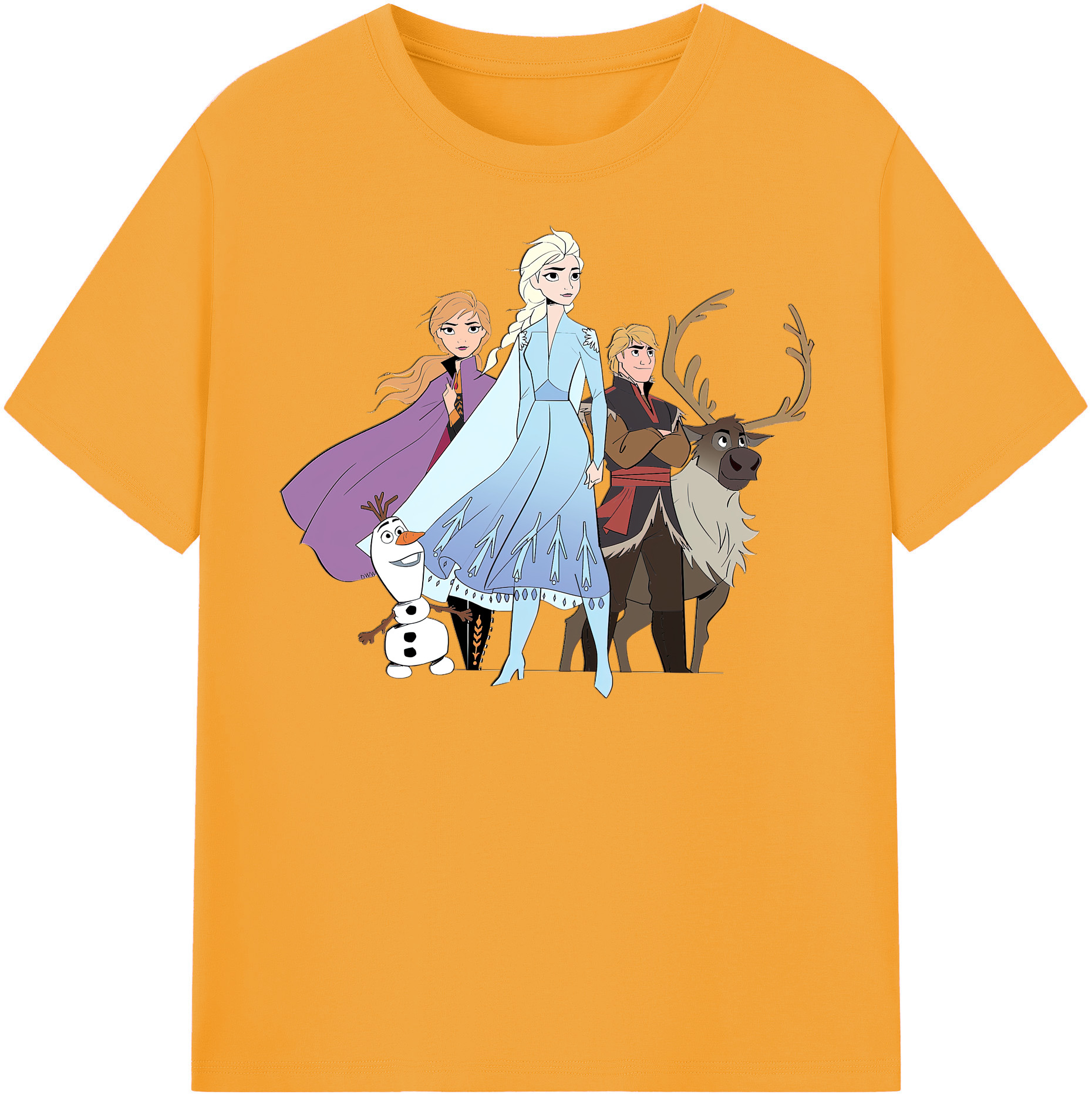（画像用） アナと雪の女王 アンナ エルサ Frozen Anna Elsa 綿100％半袖Tシャツ（フロントプリント）