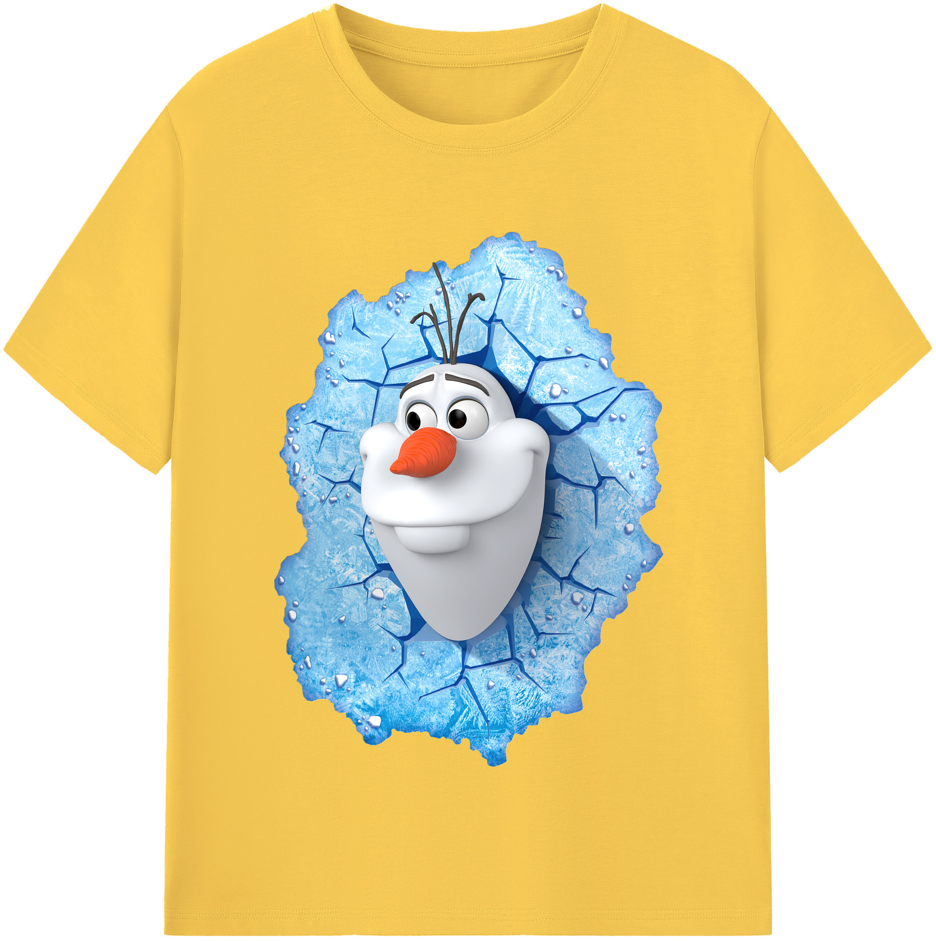 （画像用） アナと雪の女王 アンナ エルサ Frozen Anna Elsa 綿100％半袖Tシャツ（フロントプリント）