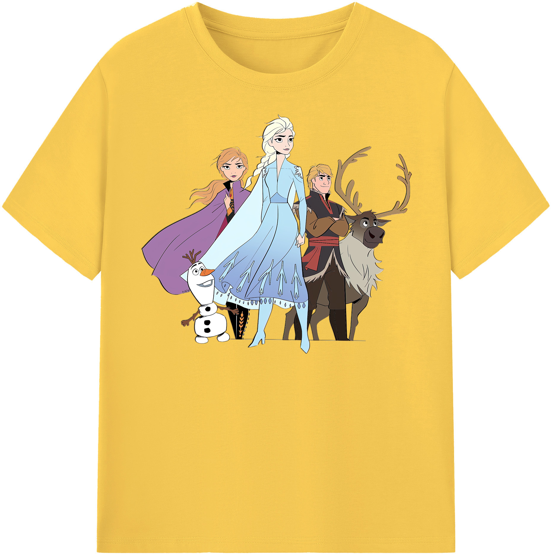 （画像用） アナと雪の女王 アンナ エルサ Frozen Anna Elsa 綿100％半袖Tシャツ（フロントプリント）